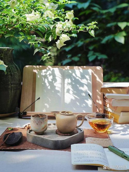 武汉品茶推荐_武汉品茶600左右的价位_武汉品茶的场子