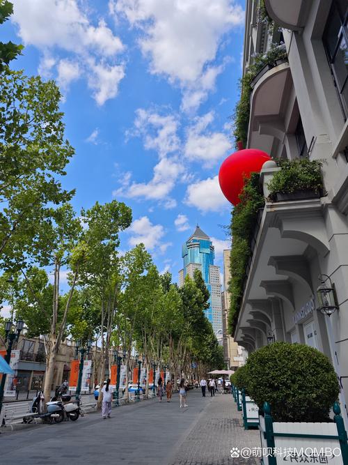 武汉魅力之城，东湖绿道与江汉路步行街的休闲好去处
