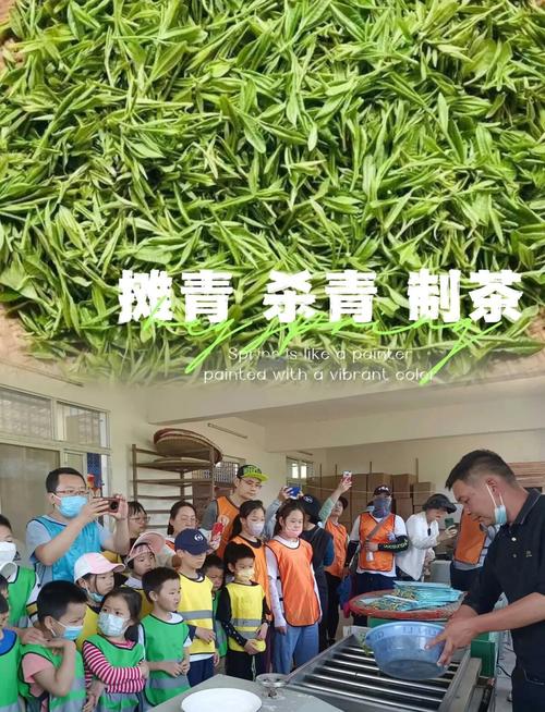 武汉品茶的场子_武汉品茶什么意思_武汉品茶怎么样