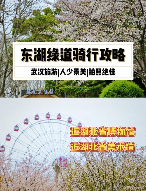 去年夏天东湖绿道骑行时，老陈为何要找服务好的武汉桑拿馆？