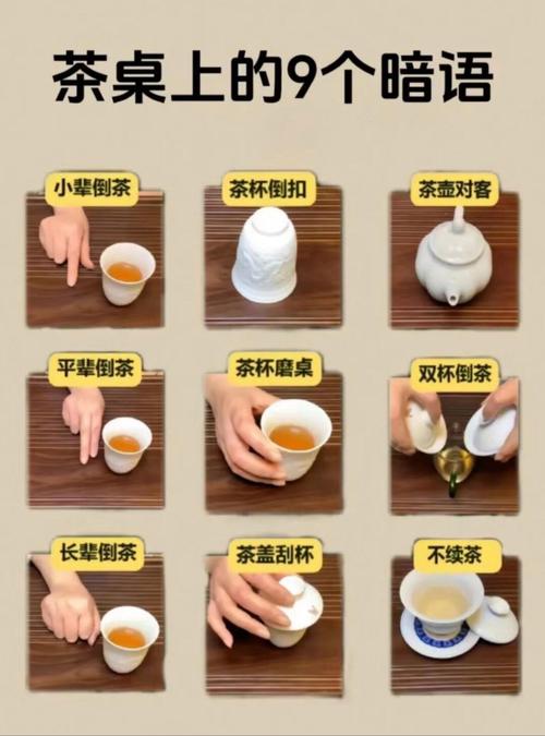 武汉品茶szsn_武汉品茶指南_武汉品茶喝茶