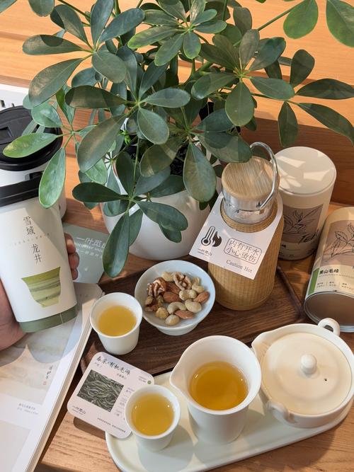 武汉品茶好去处，帮你放松身心，让疲惫一扫而光