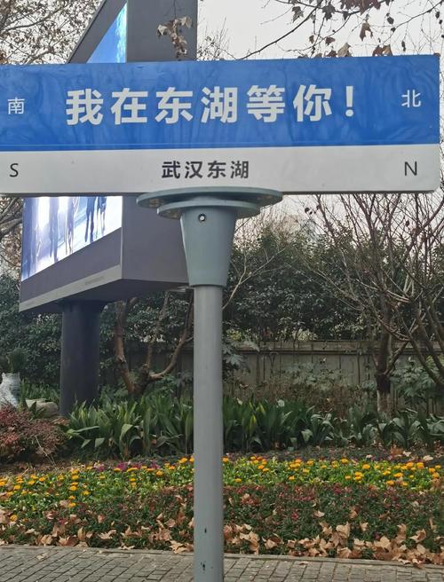 武汉魅力尽显！东湖绿道及江汉路步行好去处推荐