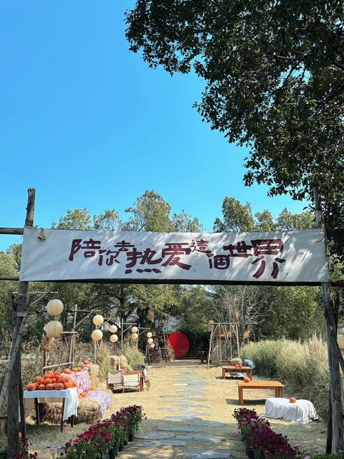 武汉休闲哪里好？老土著推荐喝茶遛娃拍照一站式