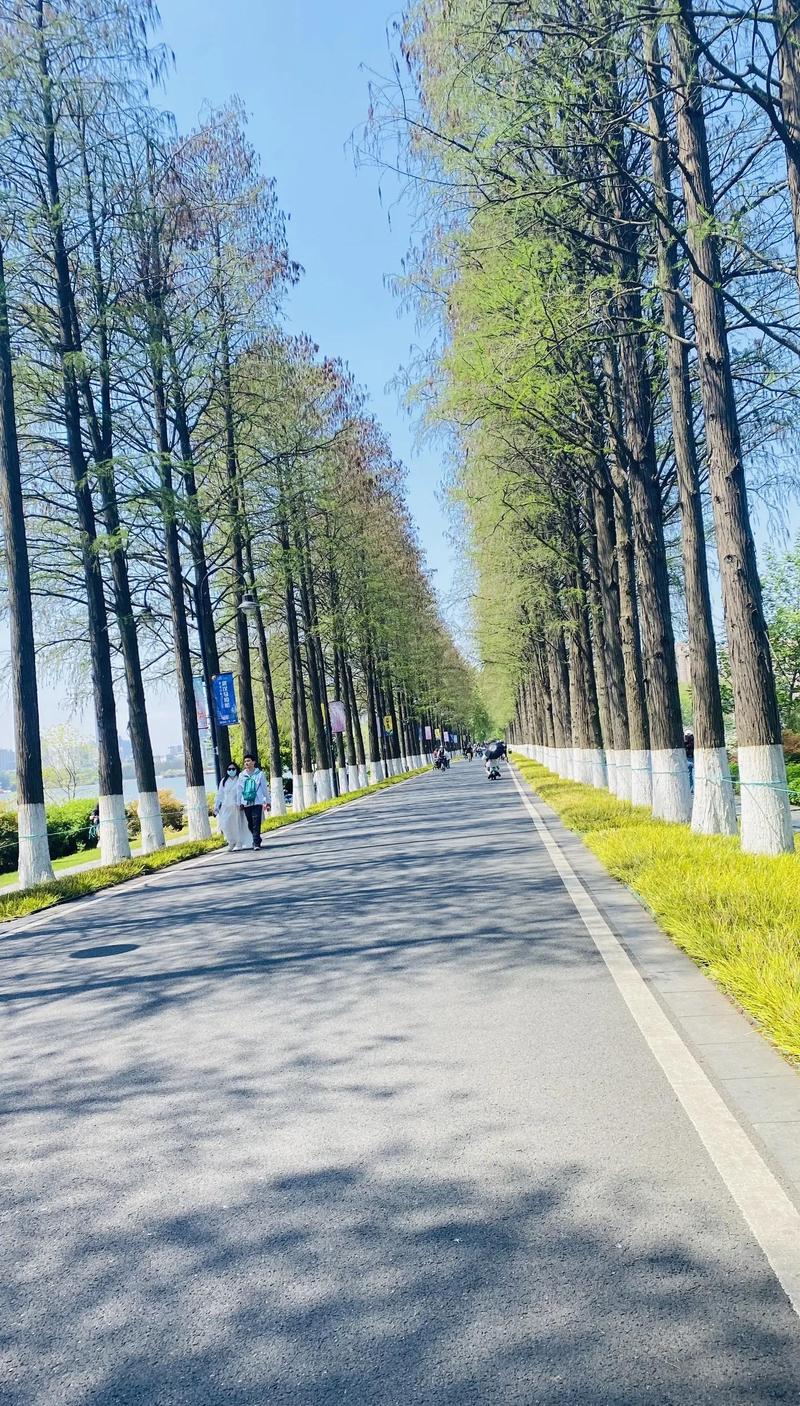 武汉休闲sz_武汉休闲怎么样_武汉休闲店介绍